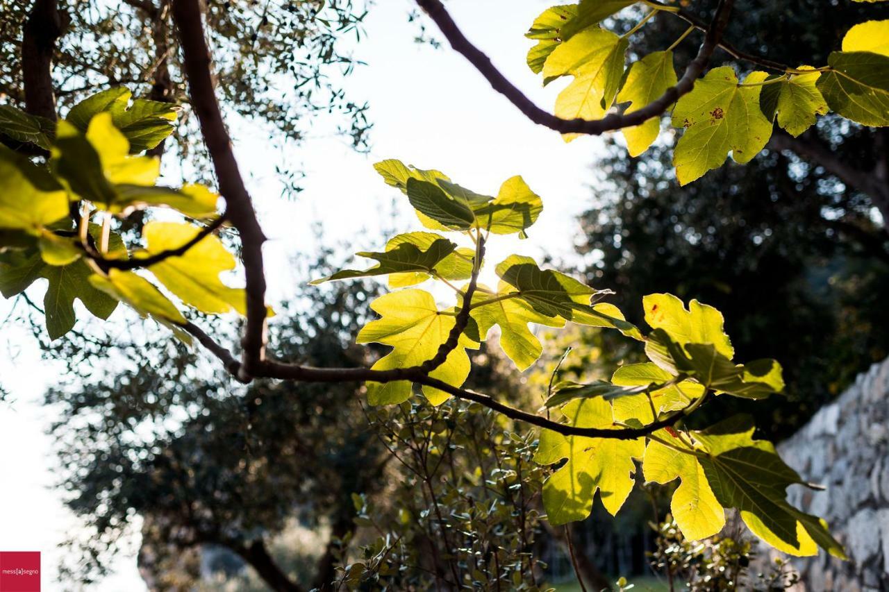 Apartamento Il Nibbio Piano di Sorrento Exterior foto